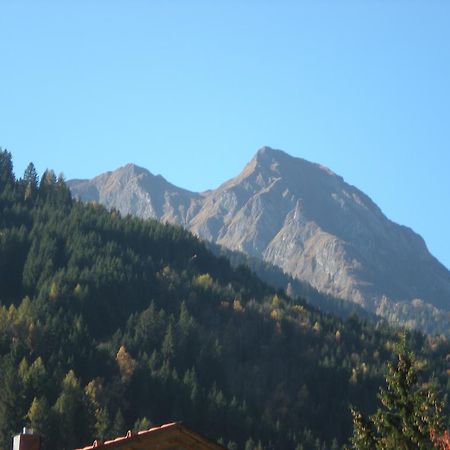 Appartamento Haus Zerza Dorfgastein Esterno foto